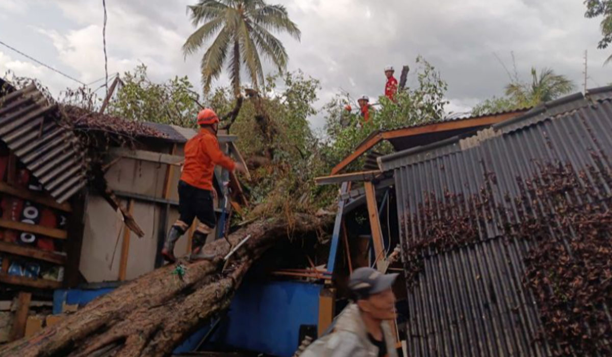 Mengejutkan! Bencana Bertubi-Tubi Hantam Jabar Sampai Maluku, BNPB Buka Fakta Terbaru